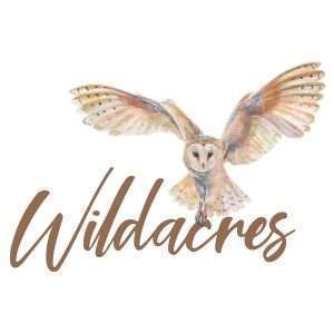 Wildacres gift card image square