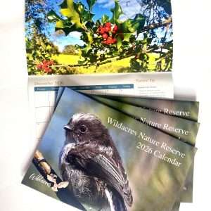 Wildacres Limited Edition 2026 Wall Calendar