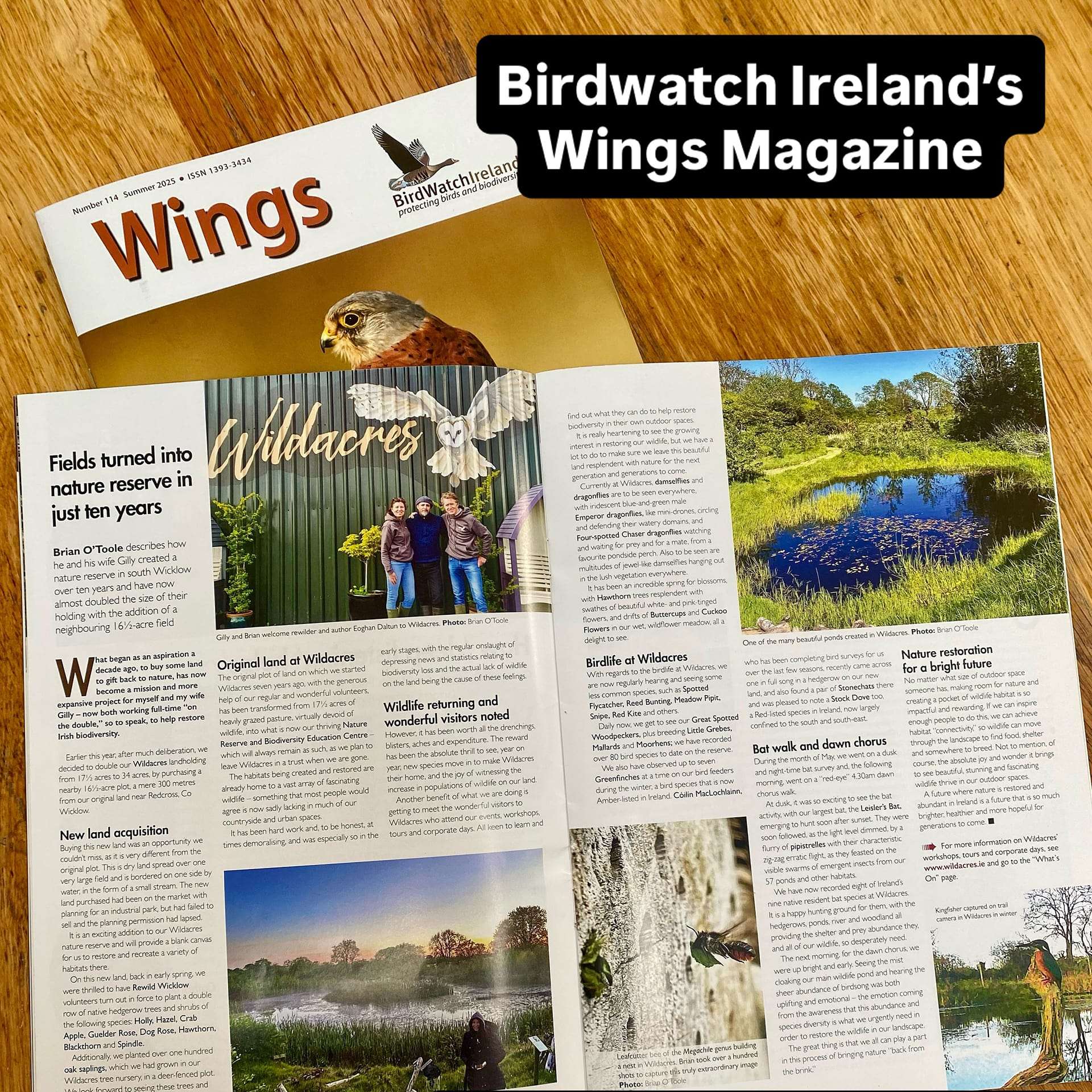 Spirit of Wicklow Awards Birdwatch Ireland's Wings Magazine Summer 2025
