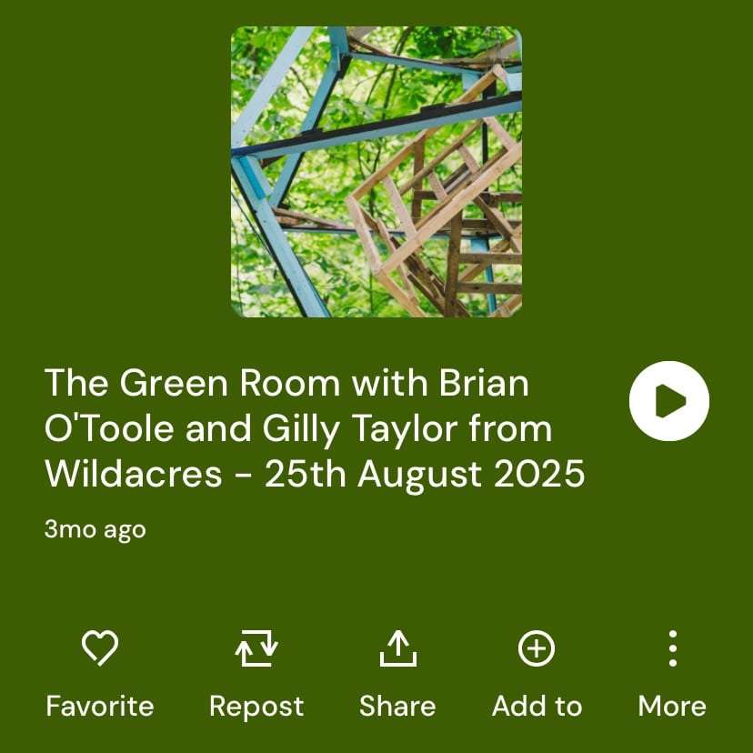 Spirit of Wicklow Awards Dublin City FM - The Green Room 25th August 2025-min