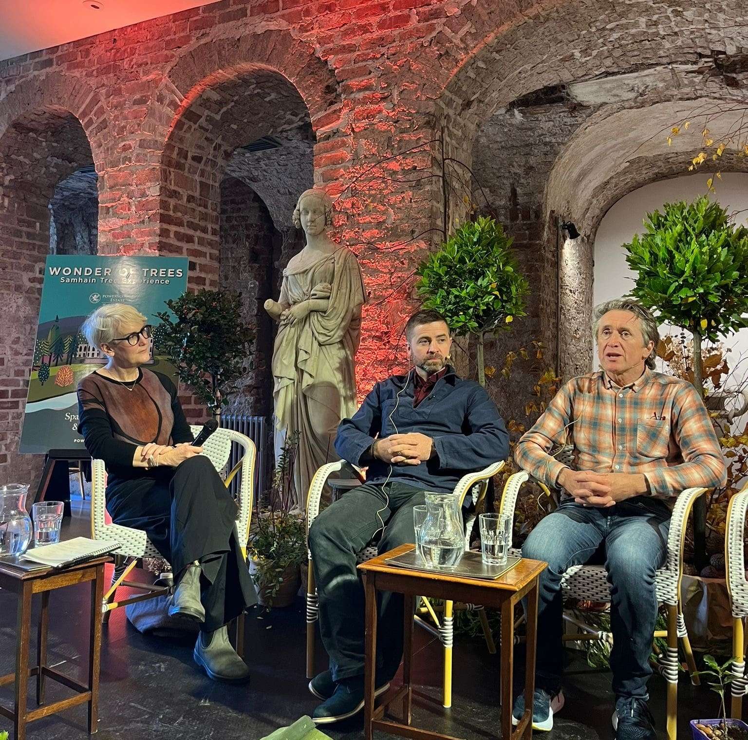 Spirit of Wicklow Awards Wonder of Trees - Powerscourt House